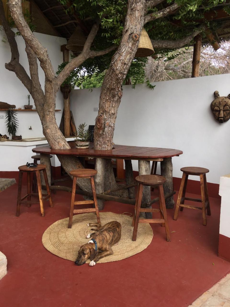 Villa Matalai تنجا المظهر الخارجي الصورة